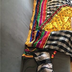 Vibrant Multicolor Saree sari